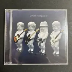 flumpool/『What's flumpool !?/(初回限定盤)』/極美
