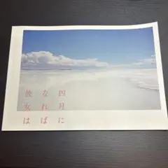 四月に彼女は パンフレット