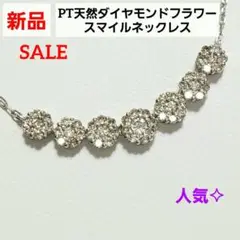 Item thumbnail for item d005b19f-17b6-48c2-a5c3-56a97df992db
