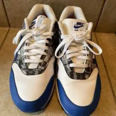 NIKE AIR MAX 26cm