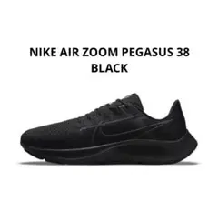 Item thumbnail for item 13780dd9-3354-4d51-b8c8-0da33246102f