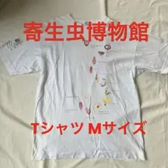 寄生虫博物館　寄生虫 Tシャツ Mサイズ