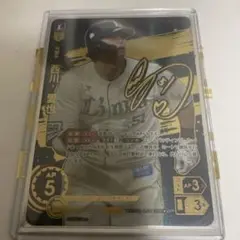 Item thumbnail for item ef381d97-ae46-41a0-9229-582322ce539d