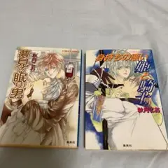 夢見る眠り男　身持ちの悪い姫と騎士　秋月こお