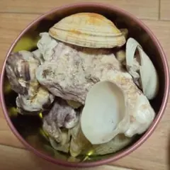 貝殻 複数個入り