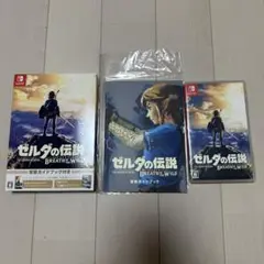 ゼルダの伝説 ブレス オブ ザ ワイルド ～冒険ガイドブック付き～