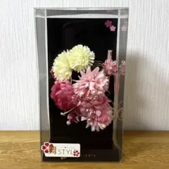Item thumbnail for item 5b2609c1-122d-4378-bfaa-bf25dc5e9a53