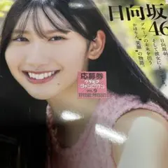 グラビアチャンピオン vol.9 応募券 １枚