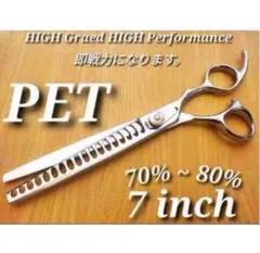 Item thumbnail for item 21adce02-872e-4947-8dd1-0eb5de22c7a8