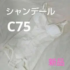 Item thumbnail for item e9bdd4a8-d0eb-424f-9a1f-3e3f40e5c41f