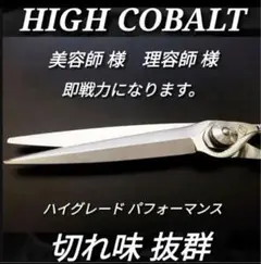 Item thumbnail for item ea68845f-6e76-4810-852e-e51e0ef59593