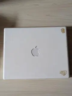 Item thumbnail for item 02ff6beb-beff-49d8-b25f-680f66f0b05c