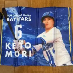 横浜DeNAベイスターズ 森敬斗選手 ブラインドスタジアムシートクッション新品