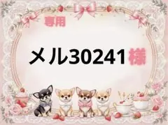 専用