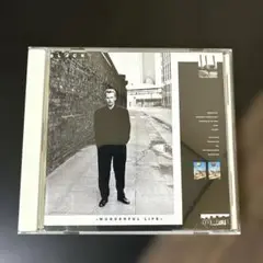 BLACK WONDERFUL LIFE CD