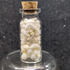 Item thumbnail for item 0bd8df39-5d55-4848-937d-b2e0fdeaa6f0