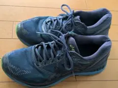 Item thumbnail for item c5242033-e139-494b-bdad-dae4f8ec83b6