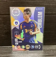 トレーディングカード　パニーニ　アドレナリン　キムヨングォン　蔚山　インサート