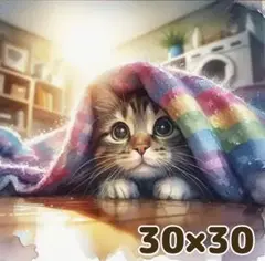 30×30 ダイヤモンドアート キット ラウンド 猫 かくれんぼ 毛布 洗濯物
