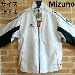 Item thumbnail for item cd8f838c-89b4-4f4b-8dcb-db74de694ebe