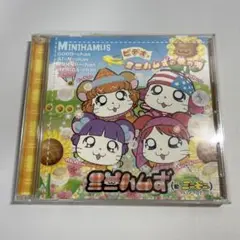 ミニハムず/ビデオ・ミニハムずの愛の唄 【DVD】2f - メルカリ