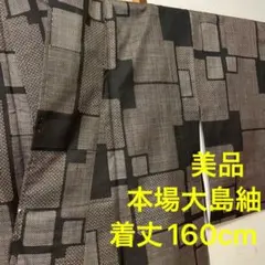美品 着物 きもの 縦横 本場大島紬 正絹 泥染 モダン