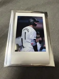 千葉ロッテマリーンズ　藤原恭大　シークレットチェキ