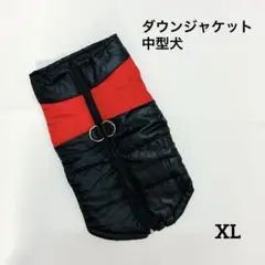 Item thumbnail for item bc02ff27-87ae-4d84-8d7e-af4dd499219e