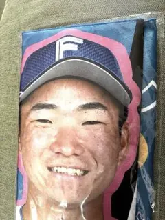 山縣秀　がたしゅ〜は孫　応援タオル　未開封