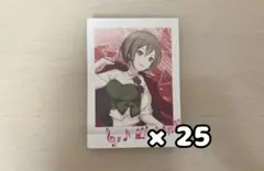 MEIKO ぱしゃこれ 25枚セット
