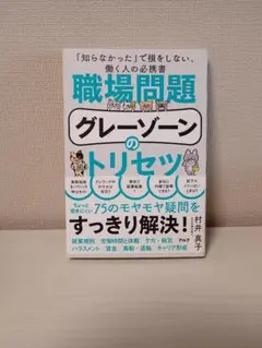 【美品／１回読】職場問題グレーゾーンのトリセツ