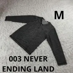 『003 NEVER ENDING LAND』Vネックシャツ　M　メンズ