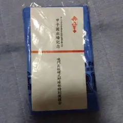 甲子園出場記念 鳴門高校　応援タオル
