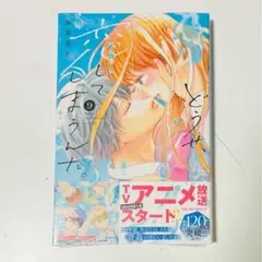 どうせ恋してしまうんだ 9巻