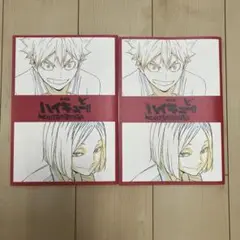 劇場版ハイキュー!! ゴミ捨て場の決戦 入場特典 袋とじ