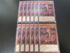 遊戯王　怒炎壊獣ドゴラン　ノーマル　12枚