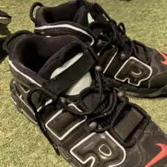 Item thumbnail for item 221030d4-ce6a-4c35-97f6-820e749d9c3f