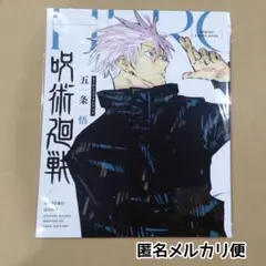 新品未開封／匿名配送／呪術廻戦 ヒーローズフォトブック 五条