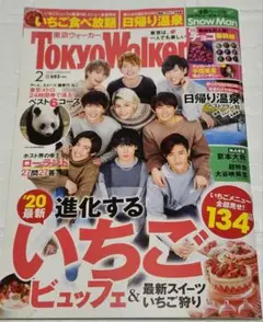 Tokyo Walker 2020年2月号　Snow Manデビュー特集有