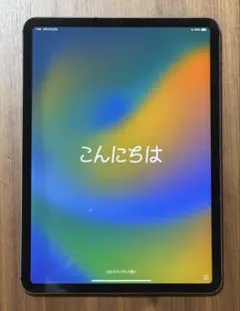 iPad Pro11インチ 1TB Wi-Fi+Cellular 2018