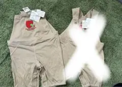 Item thumbnail for item 0f661026-ff87-482f-a724-9a0a9aef8bf7