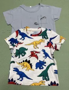 Tシャツ　２枚セット　110センチ　ワニ＆恐竜柄