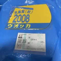 ウオッカ 天皇賞秋