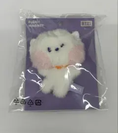 【未開封品】BT21 ぬいぐるみマグネット RJ