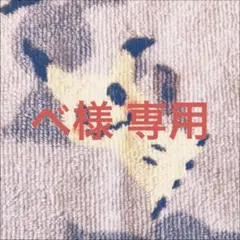 斬隠蒼頭龍バイケン キャラ 4枚_