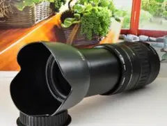 Item thumbnail for item 065e5ea1-c9e5-48d0-b5bc-eba1bd486cfd