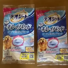 Item thumbnail for item 099eff70-b0dc-4852-ae0d-6e356d76066a