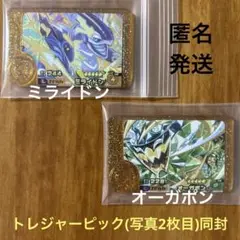 ミライドン ／ オーガポン