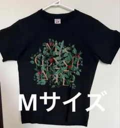 Item thumbnail for item 22bcd6e2-c1a8-4383-bb0a-72db2622a59d