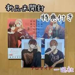 3巻 友達の姉ちゃんに恋した話 姉ちゃんの友達がうざい話 特典 一迅社 限定